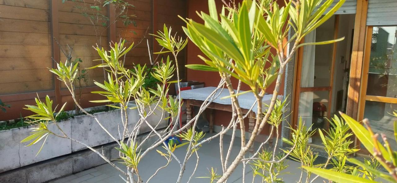 Meraviglioso Super Attico Con Terrazza มิลาน ภายนอก รูปภาพ